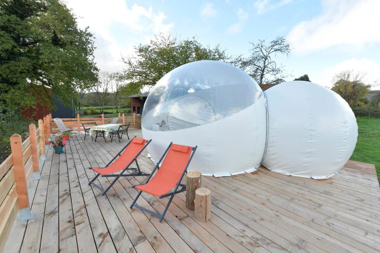 Bulle Ecureuil Quarre-les-Tombes